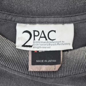 SAINTMICHAEL 2PAC 25SS 2PC_SS TEE ダメージ加工 L グレー SM-HR8-0000-C14