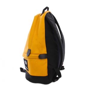Supreme THE NORTH FACE 17AW Leather Day Pack