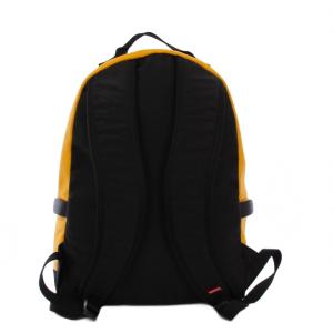 Supreme THE NORTH FACE 17AW Leather Day Pack