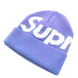 21FW Big Logo Beanie