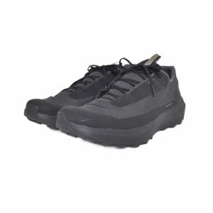 ARC’TERYX NORVAN LD 4 Gore-Tex Men's スニーカー ゴアテックス