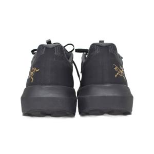 ARC’TERYX NORVAN LD 4 Gore-Tex Men's スニーカー ゴアテックス