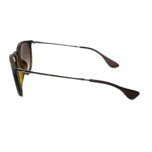Ray-Ban ERIKA CLASSIC サングラス アイウエア べっ甲柄 ウェリントン型 RB4171-F 5418