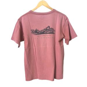 Patagonia オールドTシャツ バックプリント 半袖 カットソー S ピンク