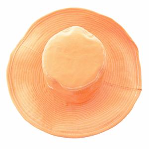 DSQUARED2 タグ付き ハット つば広 帽子 キャンバス オレンジ S 国内正規品 0726