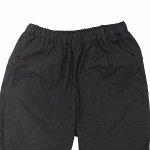 TEATORA 近年 Wallet Pants FOREST packable TT-004F-P