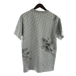 DIOR HOMME DANIEL ARSHAM オブリーク Tシャツ